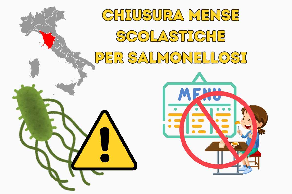 chiusura mense scolastiche in Italia per rischio salmonellosi