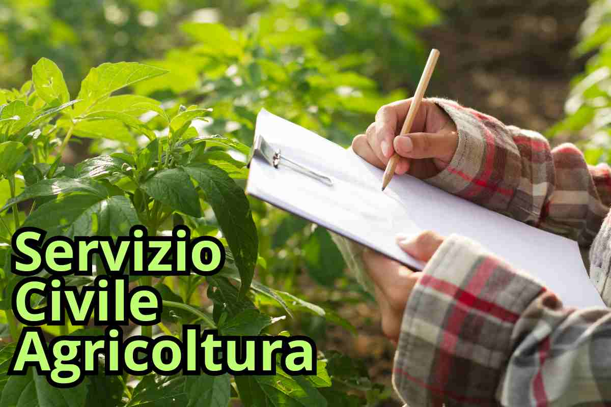 servizio civile agricoltura come funziona